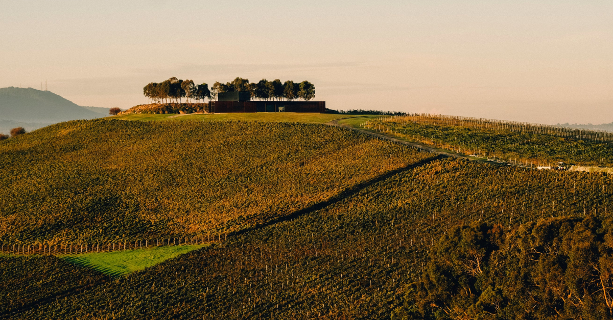 Denton Wines | Yarra Valley