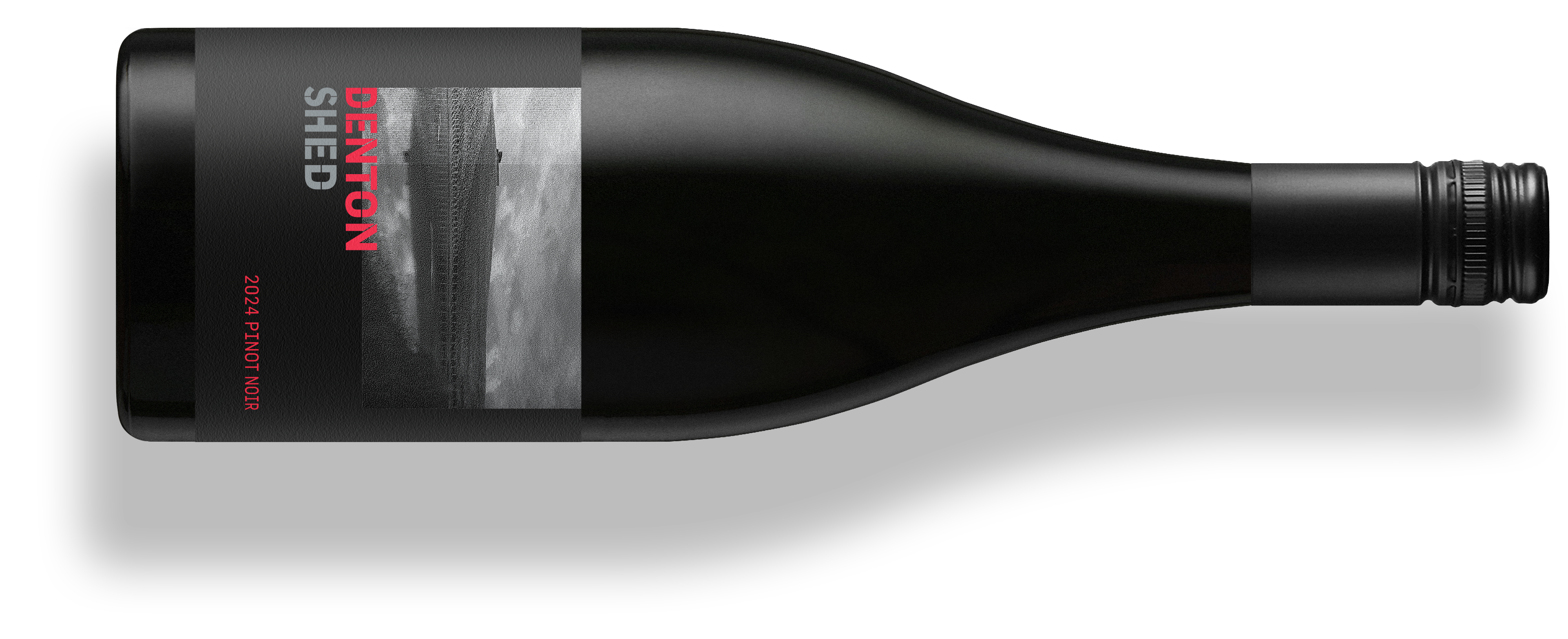 2024 Shed Pinot Noir